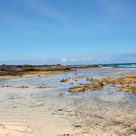 Coral 4*