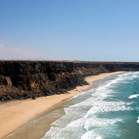 Coral Cotillo